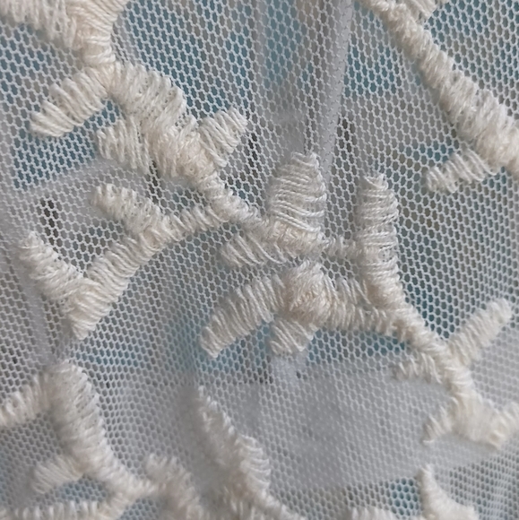 EUC Express Ivory Lace Tank Top - Picture 4 of 7